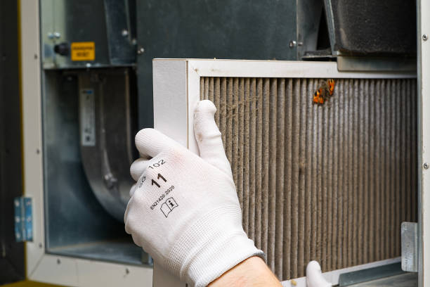 Best Affordable Duct Cleaning Services  in San Diego, TX