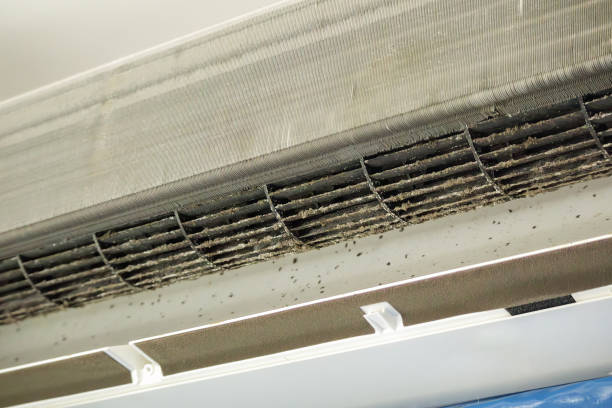 Best HVAC Air Duct Cleaning  in San Diego, TX